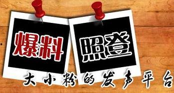 新的新闻爆料是什么,最新爆料揭示惊人内幕