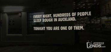 流浪者爆料演示视频大全,揭秘真实生活点滴与感人瞬间